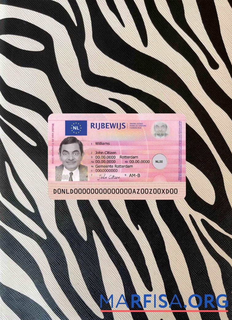 Downloadable Netherland new driving license photolook download for verification